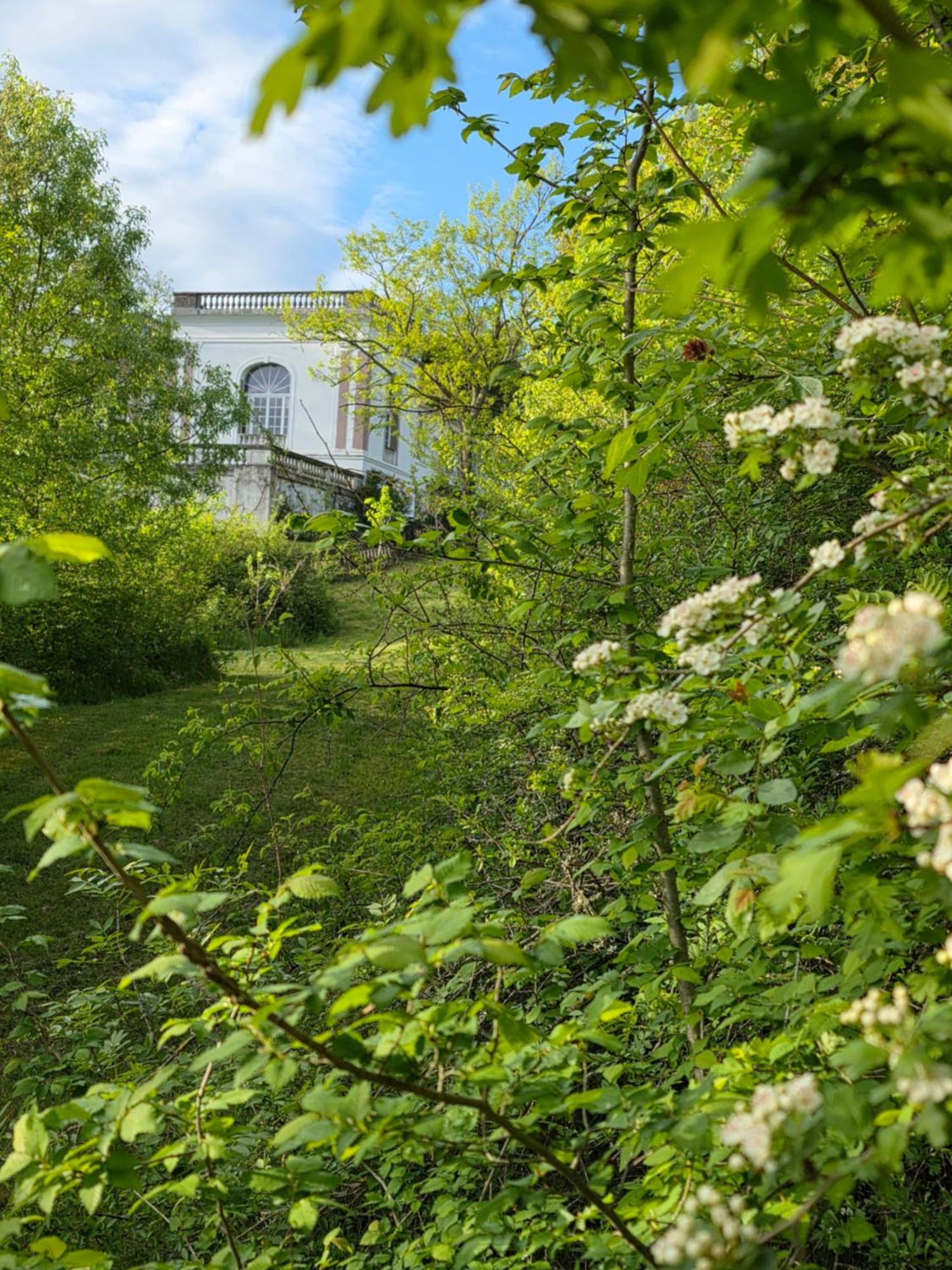 Chateau De Pourpry Damiatte Екстериор снимка