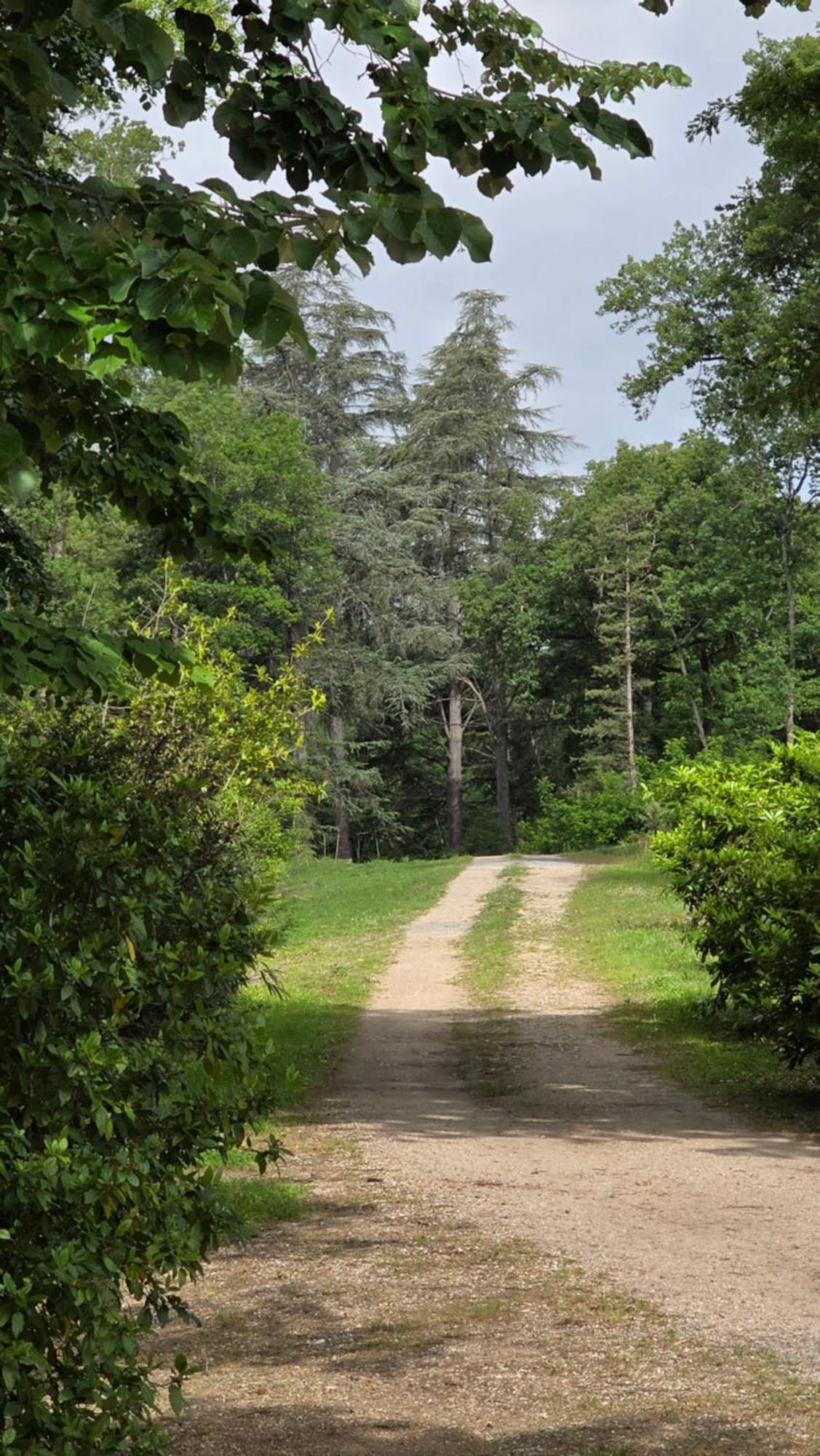Chateau De Pourpry Damiatte Екстериор снимка